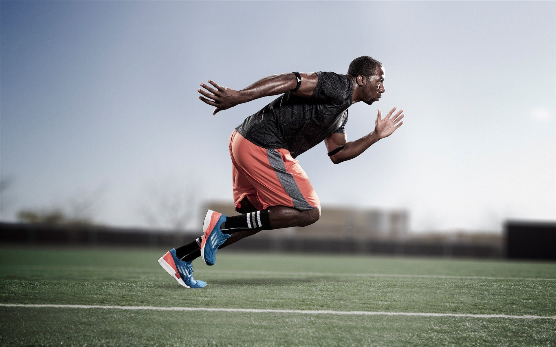 体育赛事观众体验创新